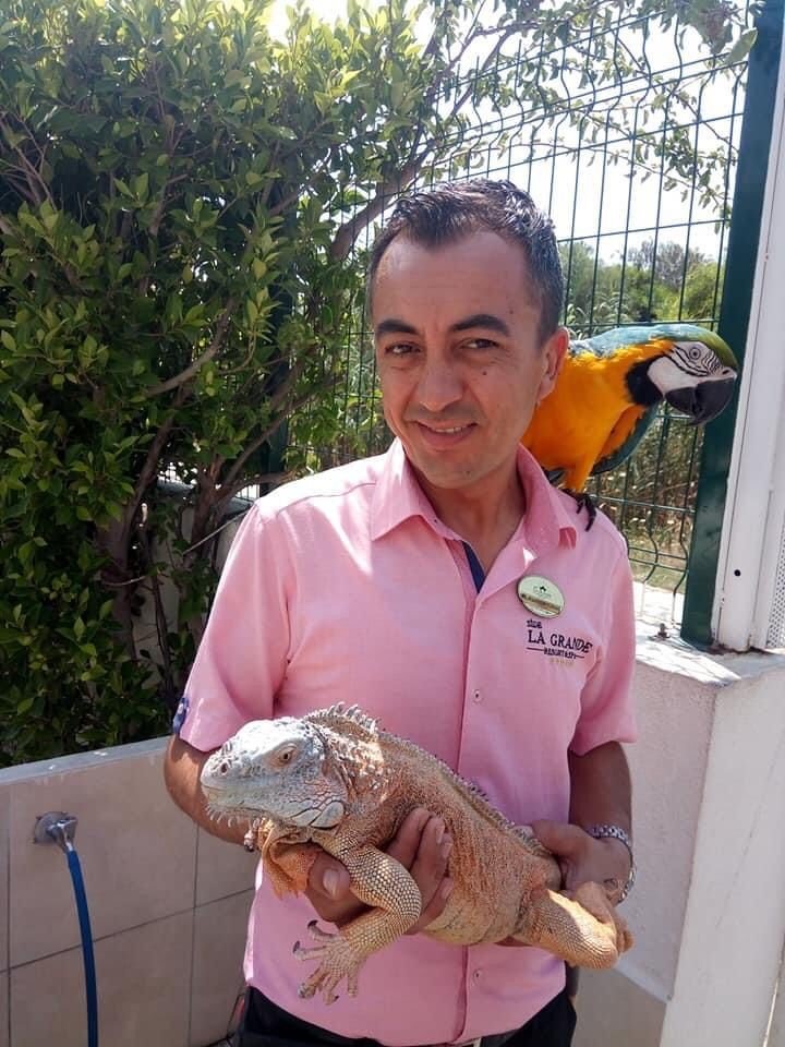 Eski Eşin İhbarı Polisi Alarma Geçirdi, Evden Bir Cenaze Ve 3 Köpek Çıktı