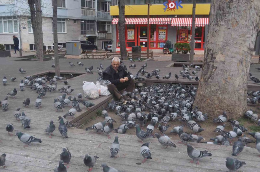 15 Senedir Her Gün Kuşları Besliyor