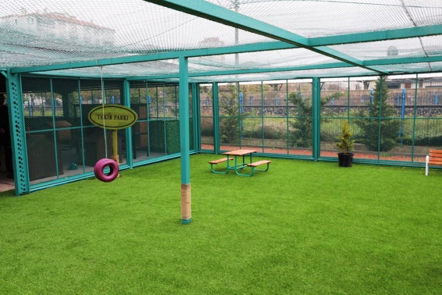 Başkan Çolakbayrakdar; ’küçük Dostlar Kasabası’nı İnceledi