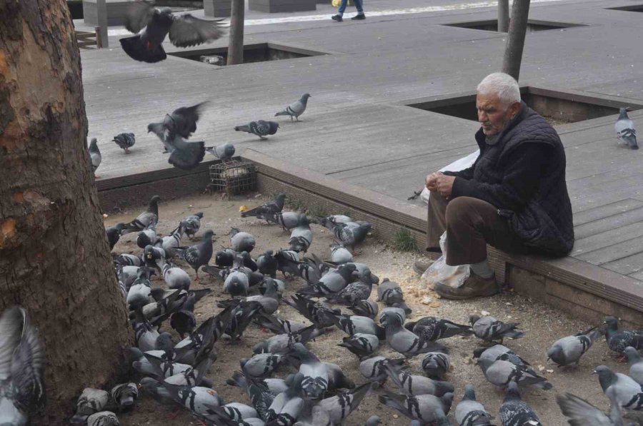 15 Senedir Her Gün Kuşları Besliyor