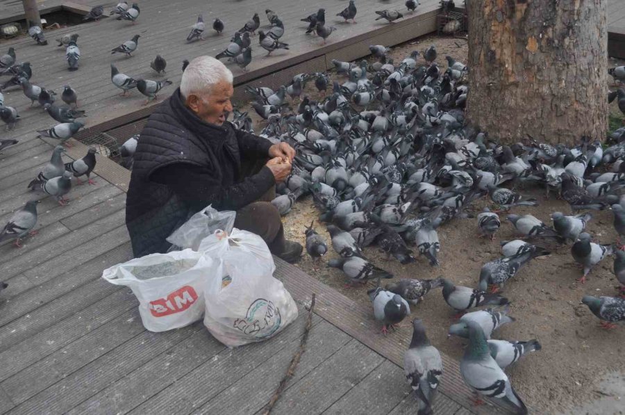 15 Senedir Her Gün Kuşları Besliyor