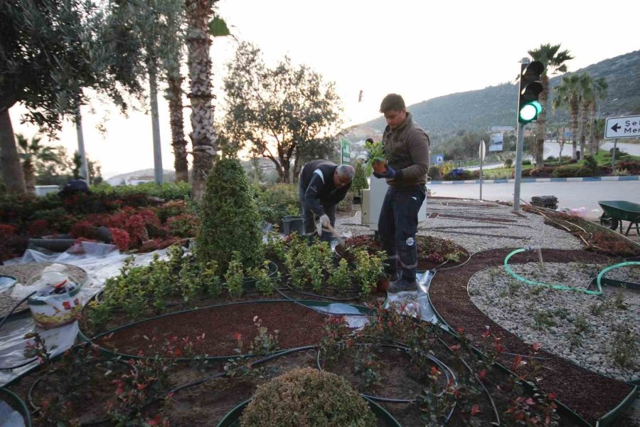 Kaş Kalkan’daki Peyzaj Çalışmasında 4 Bin Bitki Dikildi