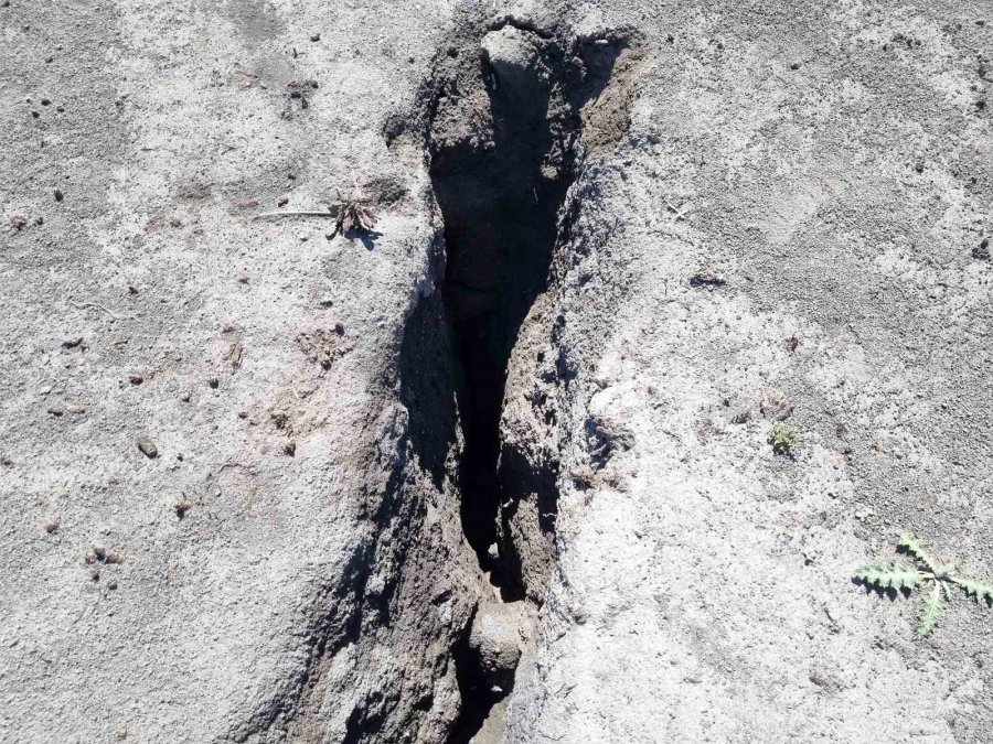 Mantar Arayan Gençler Obruk Buldu