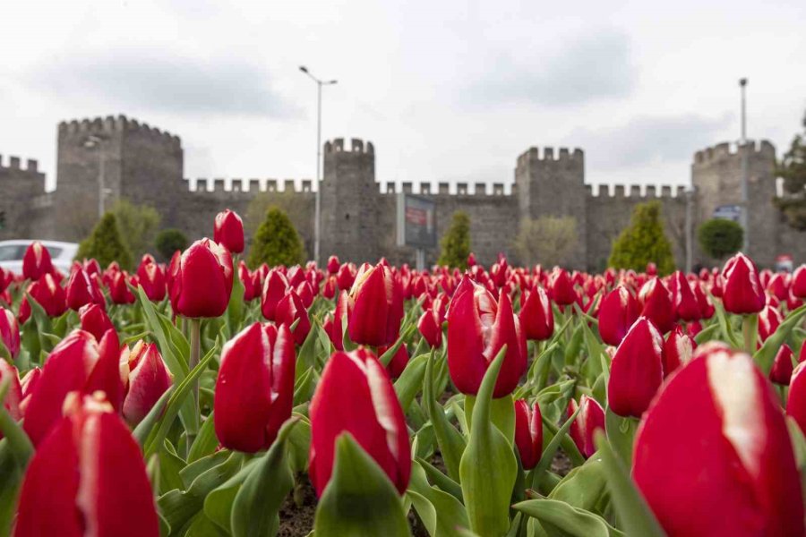 Büyükşehir, 3 Milyon Çiçek İle Şehri Çiçek Bahçesine Dönüştürecek