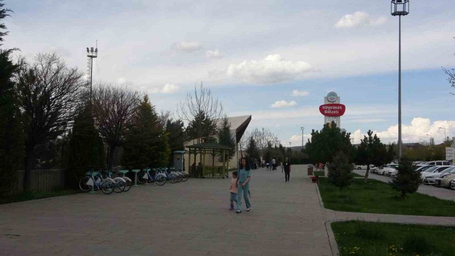 Ara Tatilde Hayvanat Bahçesine Yoğun İlgi