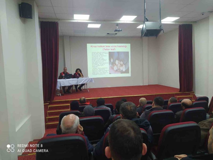 Mihalıççık’ta Kiraz Üreticilerine Yönelik Eğitimler Devam Ediyor