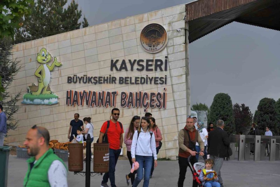 Büyükşehir’in Hayvanat Bahçesi Bayramda İki Gün Ücretsiz
