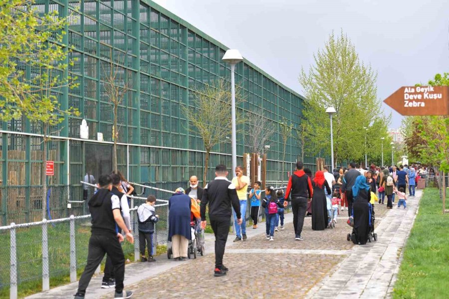 Büyükşehir’in Hayvanat Bahçesi Bayramda İki Gün Ücretsiz