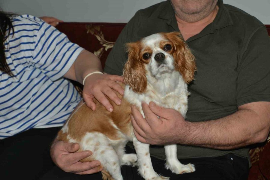 Depremin Ardından İlk Bayramlarını Buruk Şekilde Karşıladılar