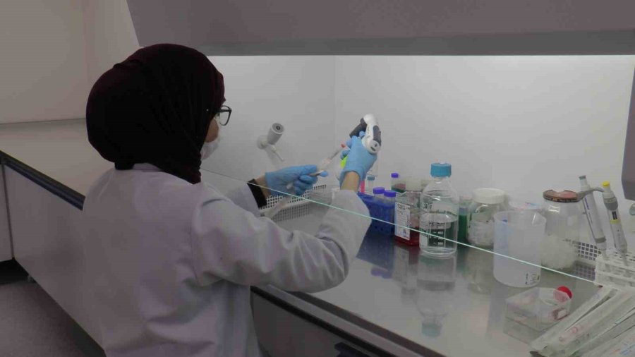 Erü’den Tarım Uygulamaları İçin ‘nano’ Çözüm