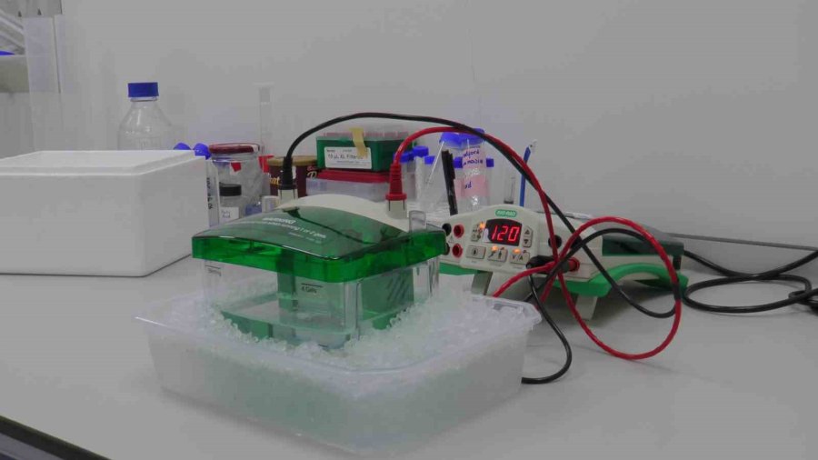 Erü’den Tarım Uygulamaları İçin ‘nano’ Çözüm