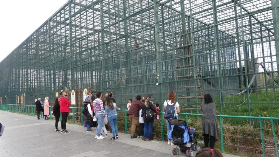 Vatandaşlar Bayramda Hayvanat Bahçesine Akın Etti: 100 Bin Ziyaretçi