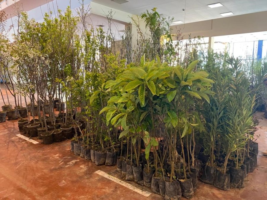 Yöresel Ürünler Fuarı’nda Depremzede Esnafa Destek