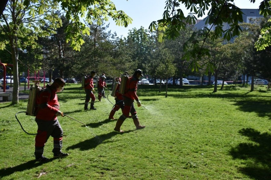 Kocasinan’da Yılın 12 Ayında Çevreci Ve Bilimsel Yöntemlerle Haşere Mücadelesi