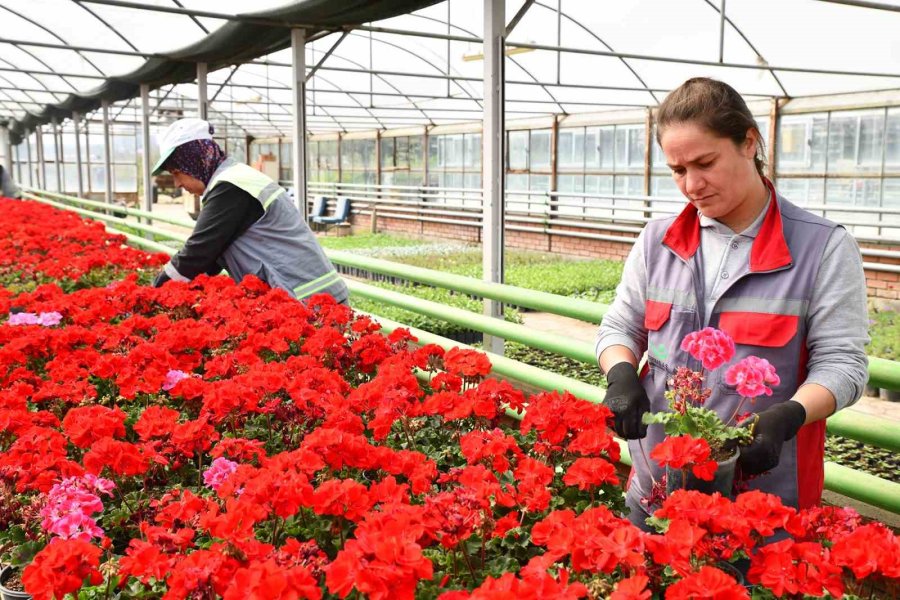 Tepebaşı Renk Renk