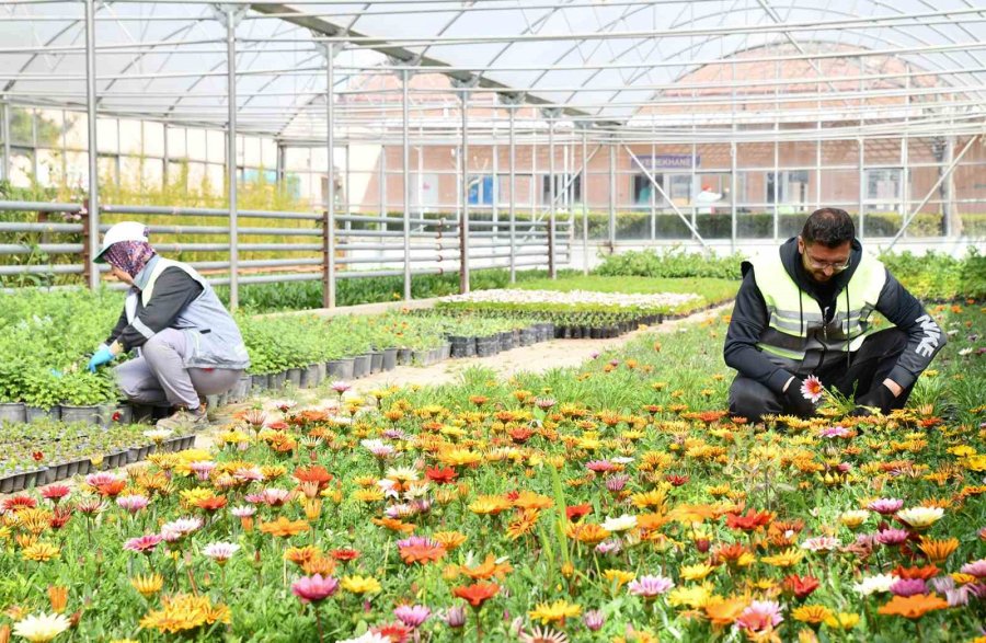 Tepebaşı Renk Renk