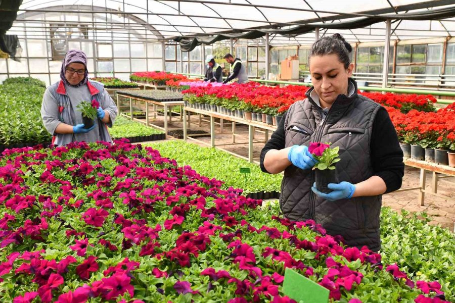 Tepebaşı Renk Renk