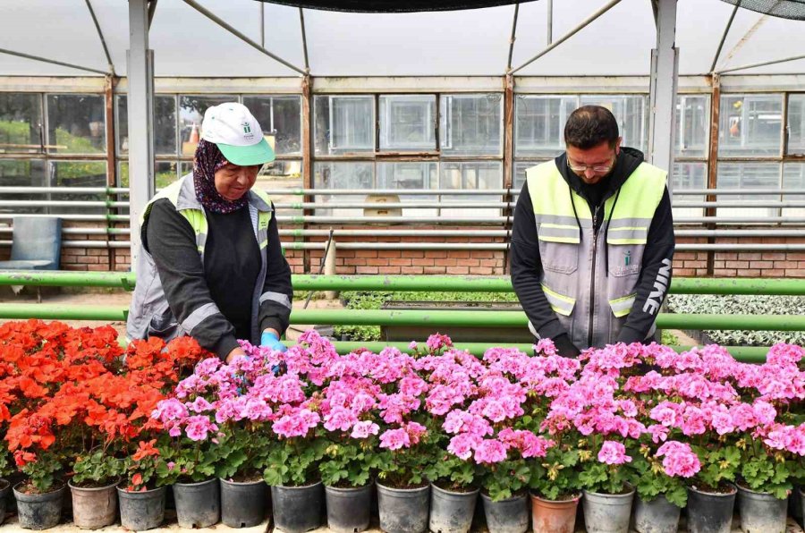 Tepebaşı Renk Renk