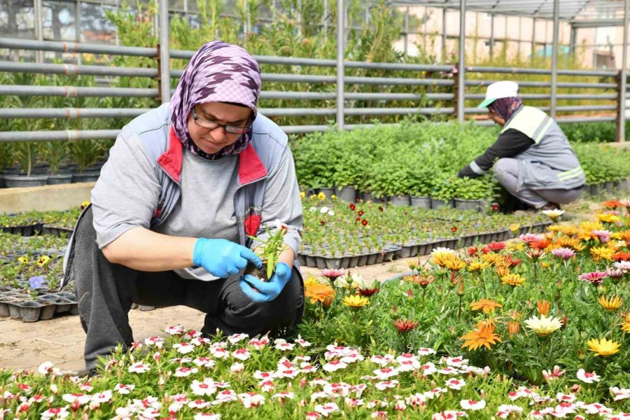 Tepebaşı Renk Renk