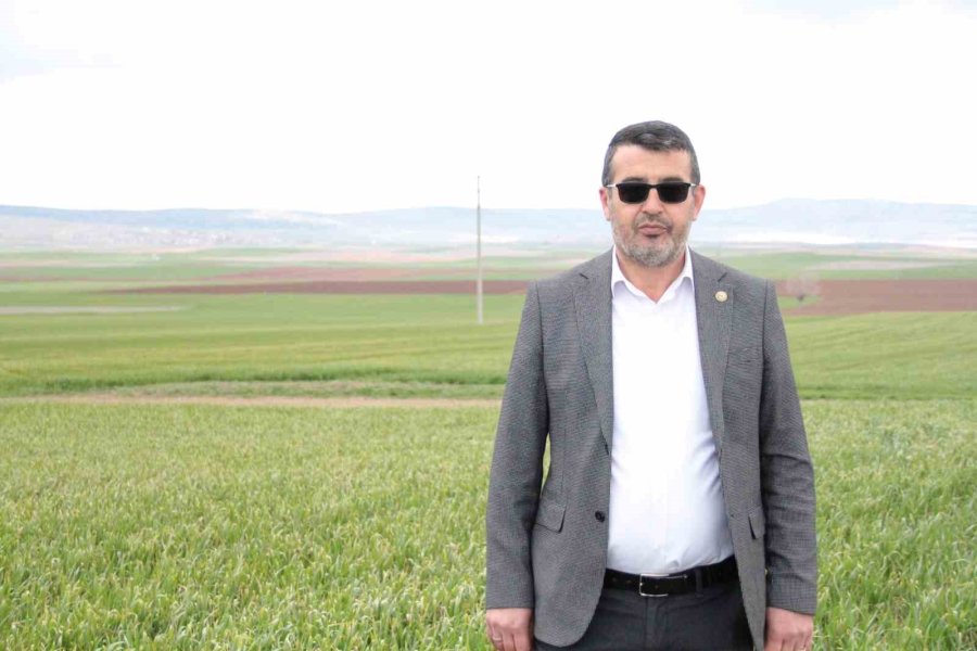 Bahar Yağmurları Çiftçinin Umutlarını Ve Mahsulünü Yeşertti