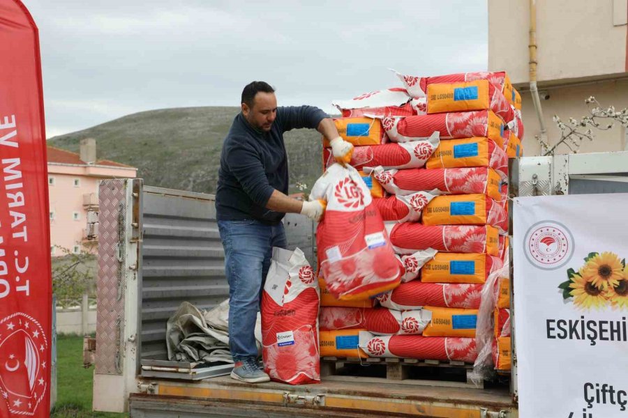 İnönü Çiftçisine Yüzde 70’i Hibe Ayçiçeği Tohumu Desteği