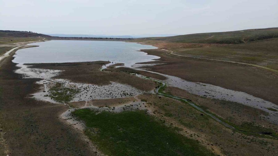 Bahar Yağmurları Çiftçinin Umutlarını Ve Mahsulünü Yeşertti