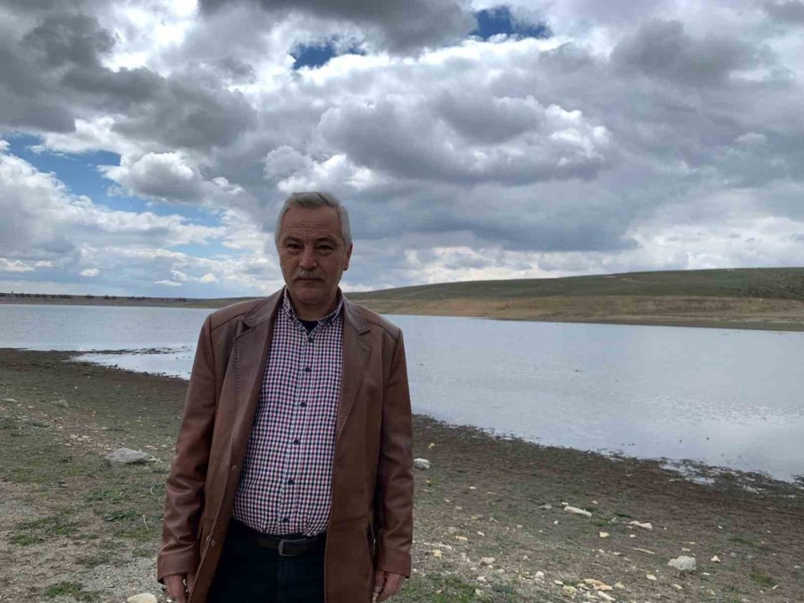 Bahar Yağmurları Çiftçinin Umutlarını Ve Mahsulünü Yeşertti