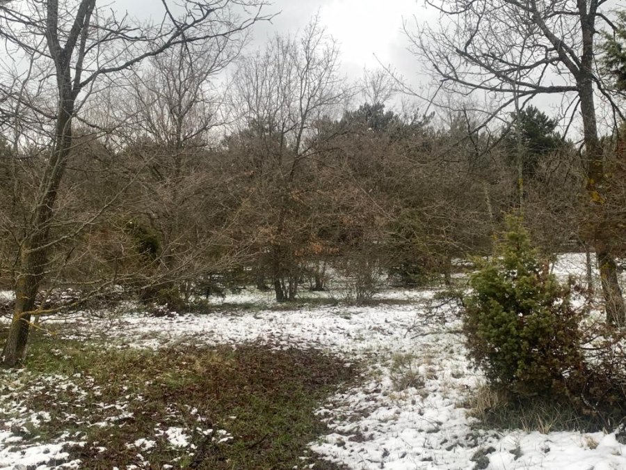 Eskişehir’de Nisan Ayında Kar Sürprizi