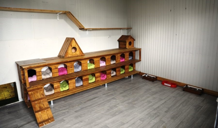 Küçük Dostlar Kedi Kasabası Açılıyor