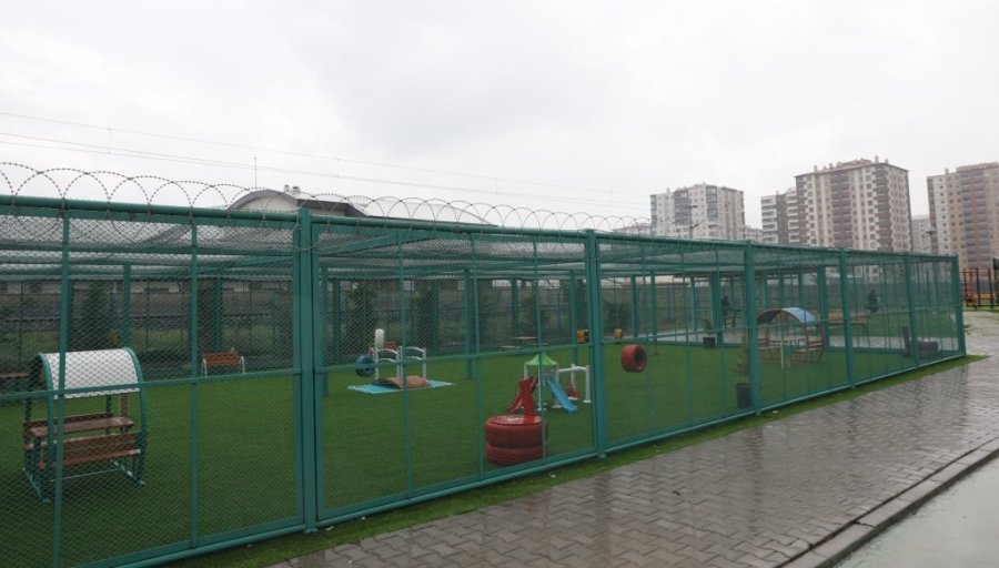 Küçük Dostlar Kedi Kasabası Açılıyor