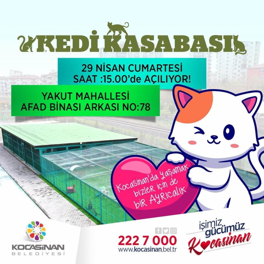 Küçük Dostlar Kedi Kasabası Açılıyor