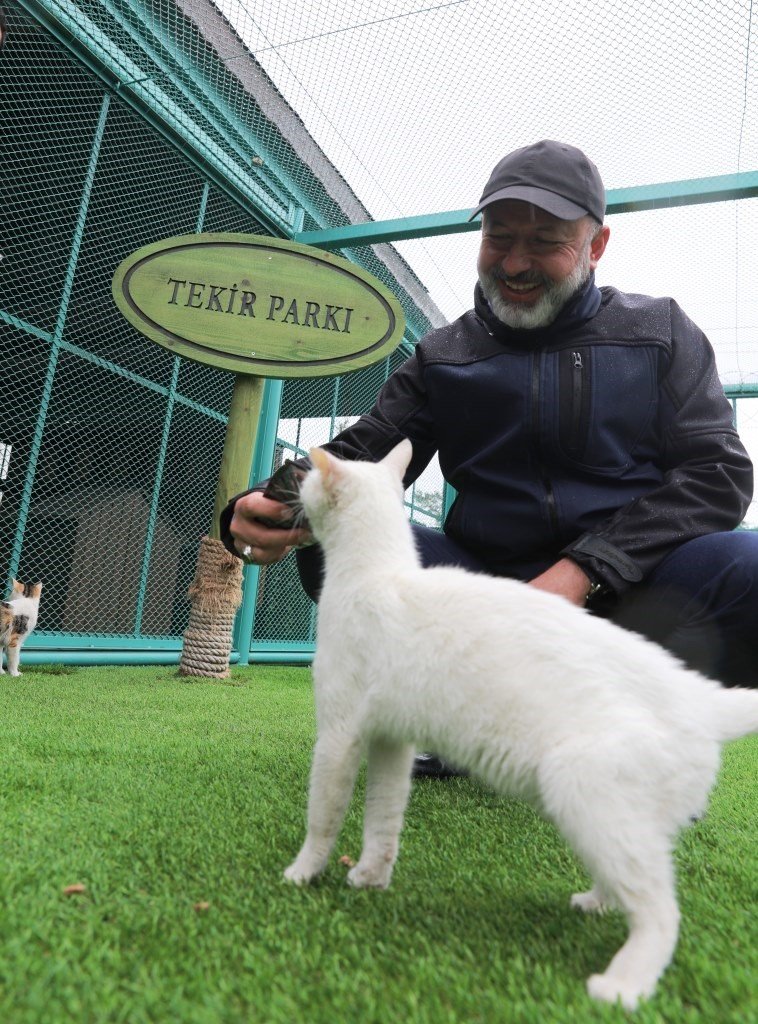 Küçük Dostlar Kedi Kasabası Açılıyor