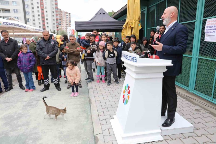 Küçük Dostlar Kedi Kasabası Açıldı