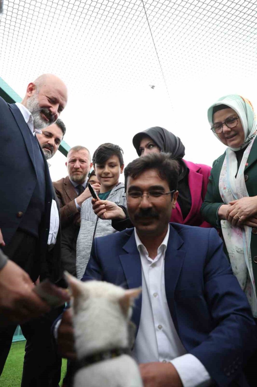 Küçük Dostlar Kedi Kasabası Açıldı