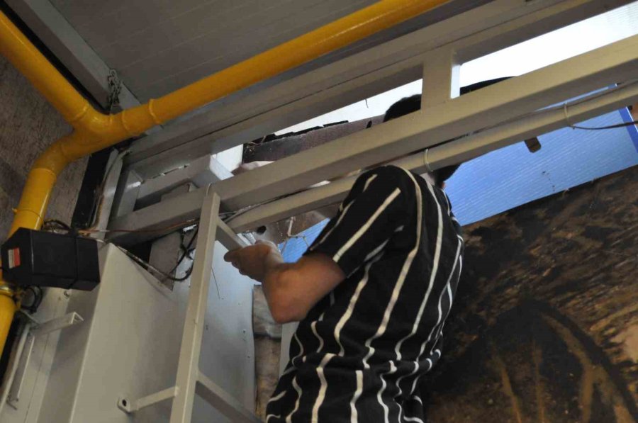 Çatıya Sıkışan Kediyi Esnaf Kurtardı