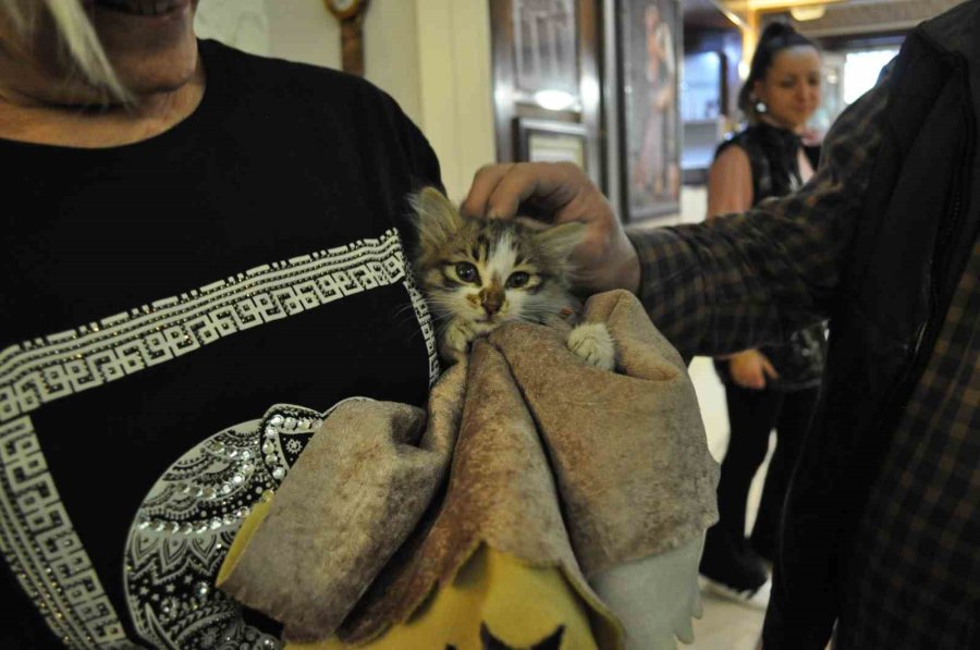 Çatıya Sıkışan Kediyi Esnaf Kurtardı