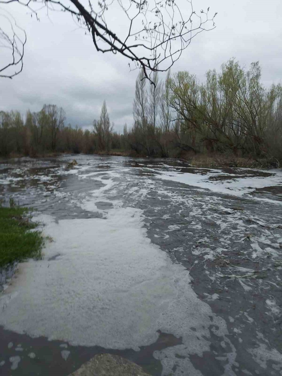 Zamantı Irmağı’nda Ölen Balıklar Kıyıya Vurdu