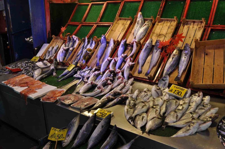 Sezonun Kapanmasıyla Balıkçı Esnafı Meyve Ticaretine Yöneldi