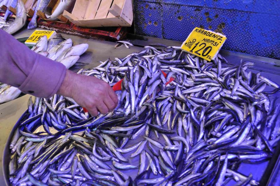 Balık Tezgâhlarındaki Bollaşması Bekleniyor