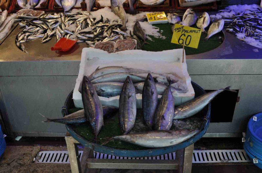 Balık Tezgâhlarındaki Bollaşması Bekleniyor