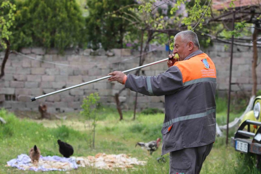 Sokak Köpeği Dehşet Saçtı: Önce Çocuğu Isırdı, Sonra Bir Başka Köpeği Boğdu