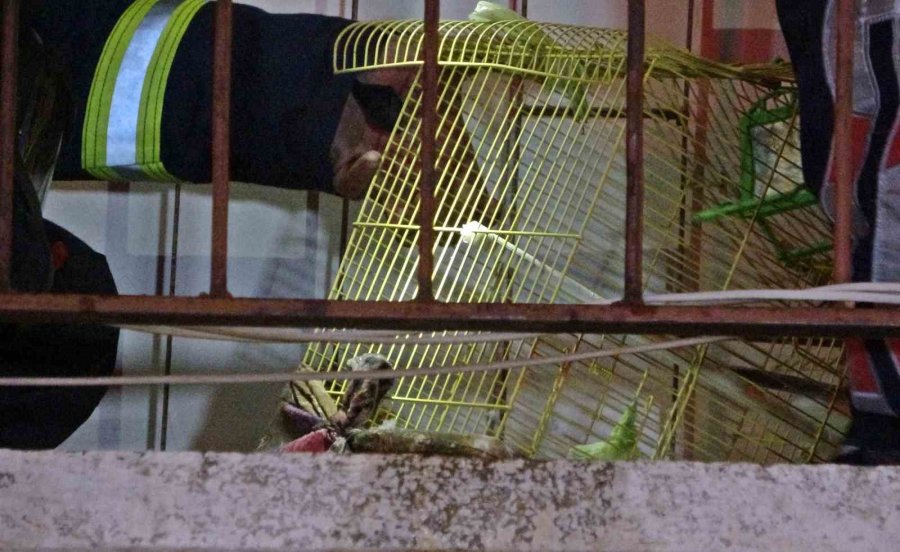 Müstakil Evde Çıkan Yangında 2 Kişi Dumandan Etkilendi, Muhabbet Kuşu Kafesinde Telef Oldu