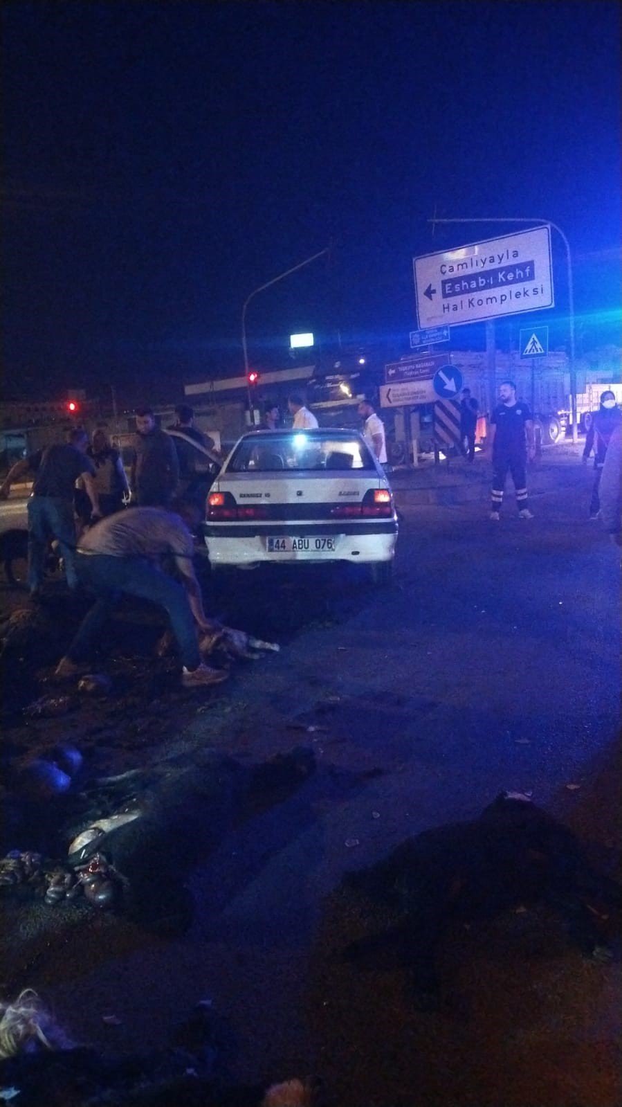 Sürüye Otomobil Çarptı, 20 Koyun Telef Oldu