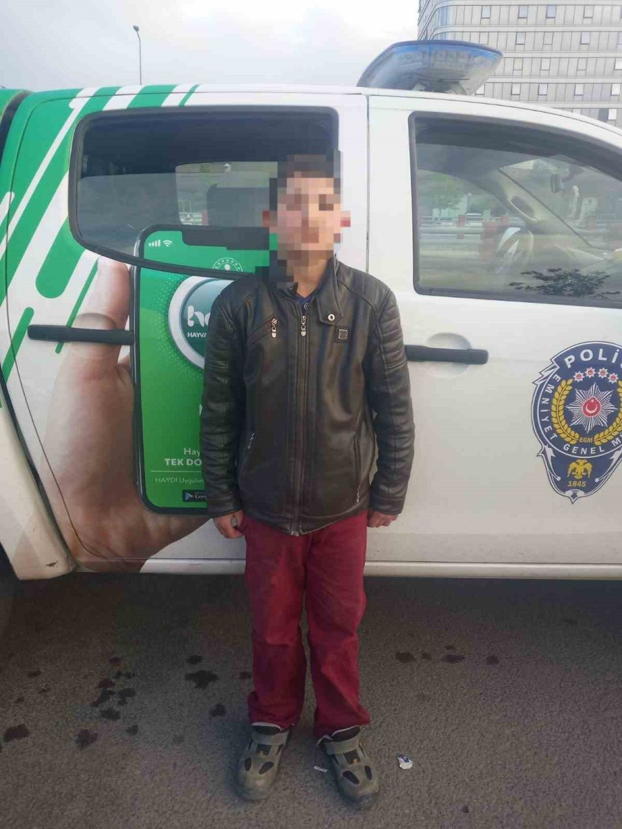 14 Yaşındaki Çocuk Kediyi Mala İle Dövdü