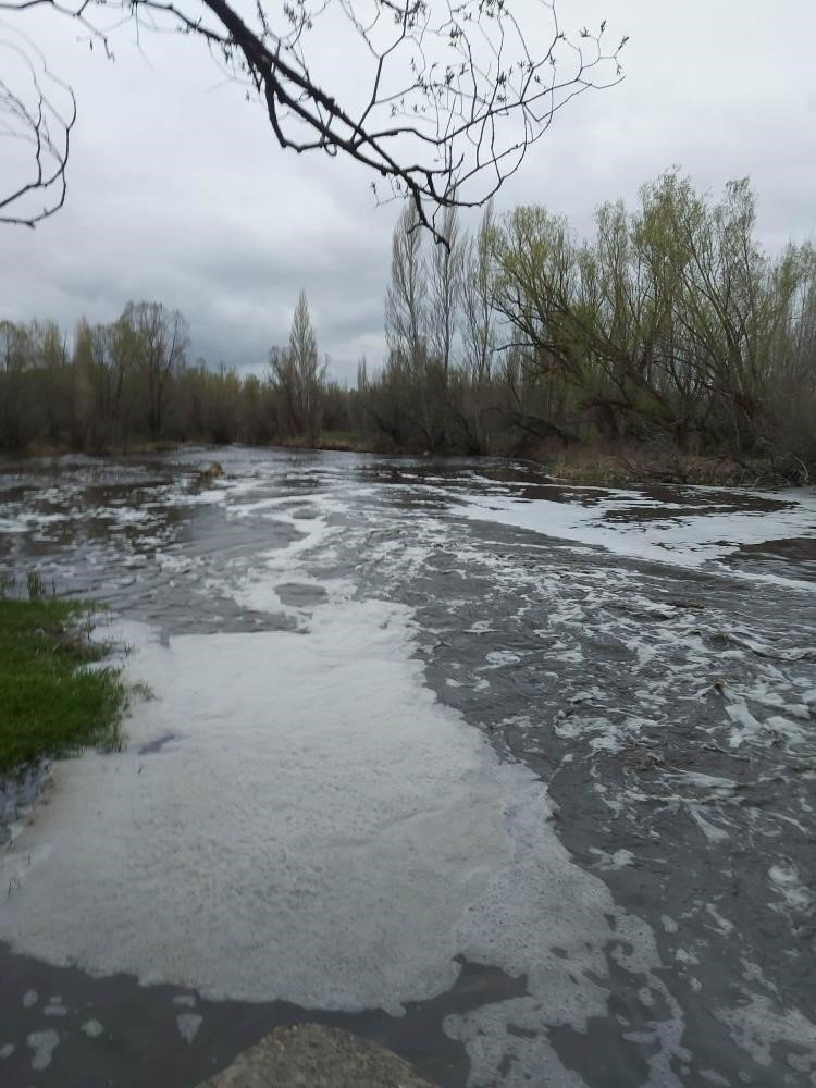 Balıkları Sıvı Gübre Atığı Öldürmüş