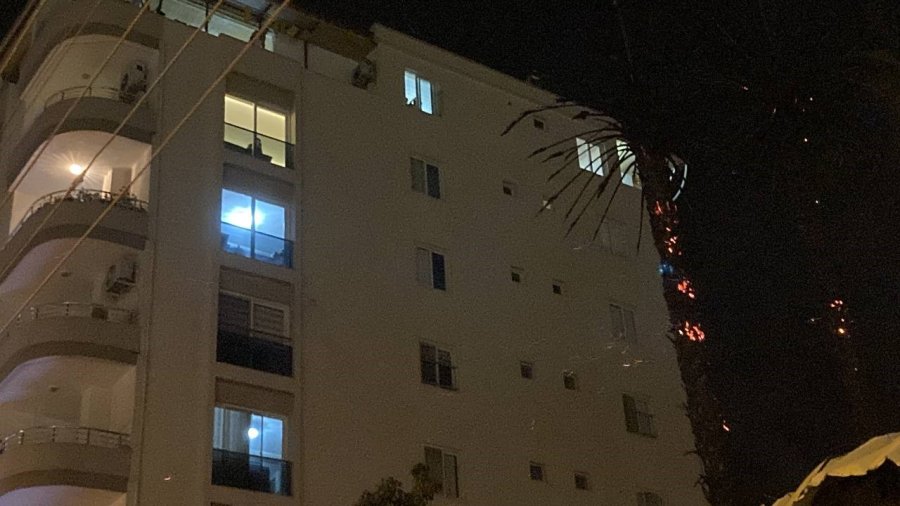 Alev Topuna Dönen Palmiye Ağaçları Korku Dolu Anlar Yaşattı