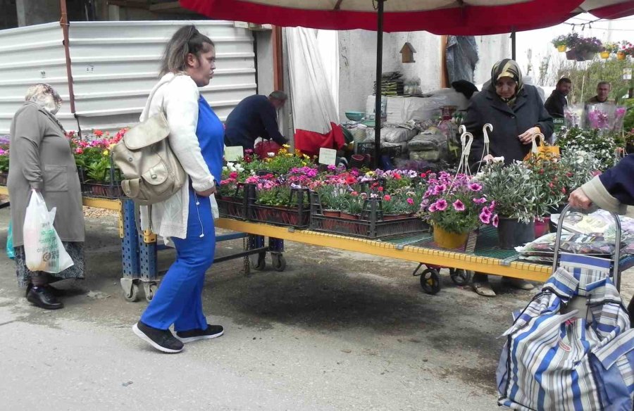 Havalar Isındı, Fideler Tezgahlardaki Yerini Almaya Başladı