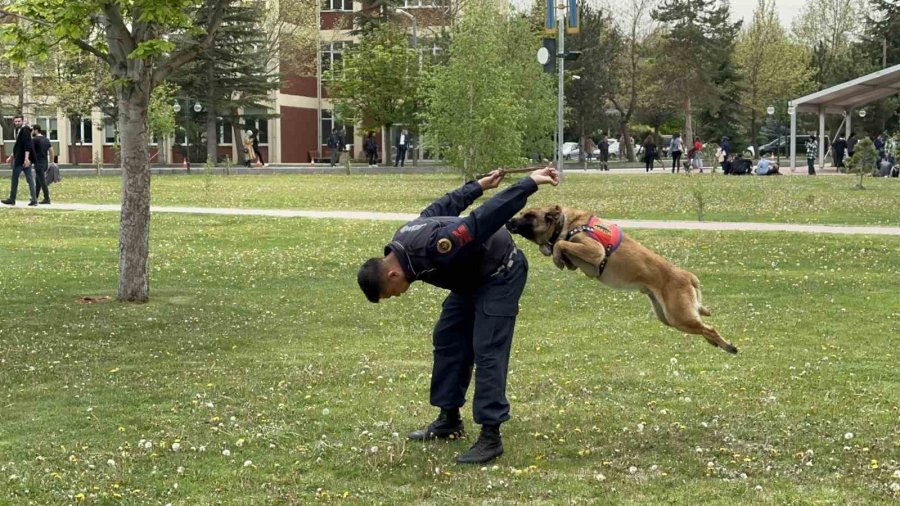 Jandarmanın Sevimli Kahramanları Fuarda Şovlarıyla İlgi Çekti