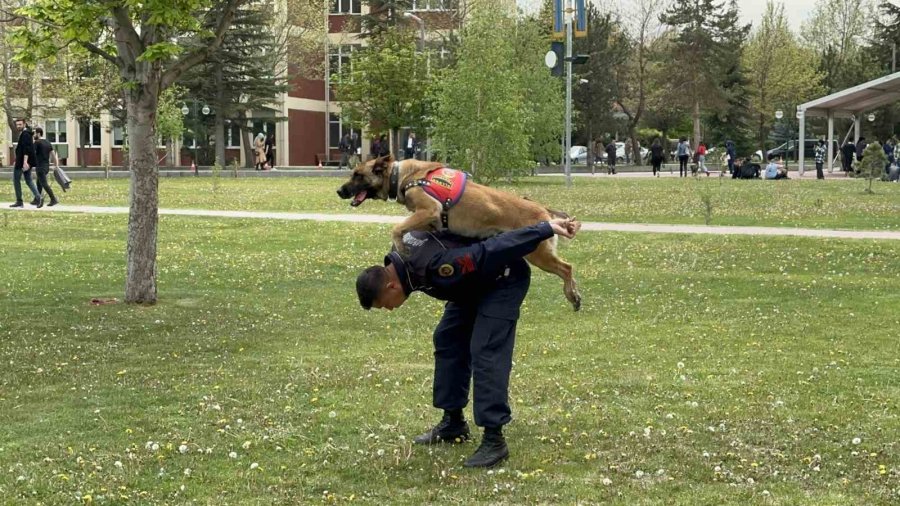 Jandarmanın Sevimli Kahramanları Fuarda Şovlarıyla İlgi Çekti