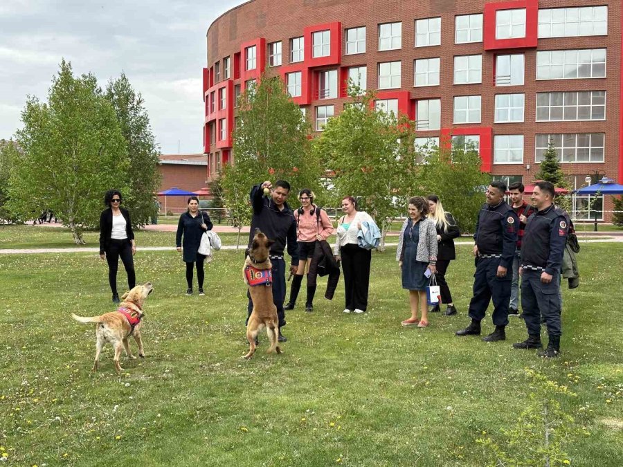 Jandarmanın Sevimli Kahramanları Fuarda Şovlarıyla İlgi Çekti